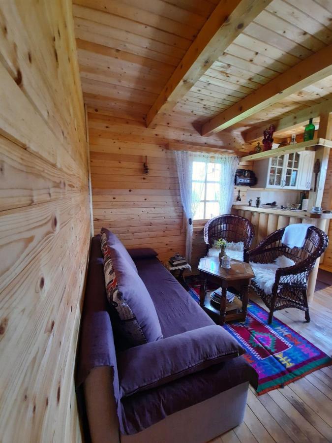 Holiday Home Jabucilo Žabljak Dış mekan fotoğraf