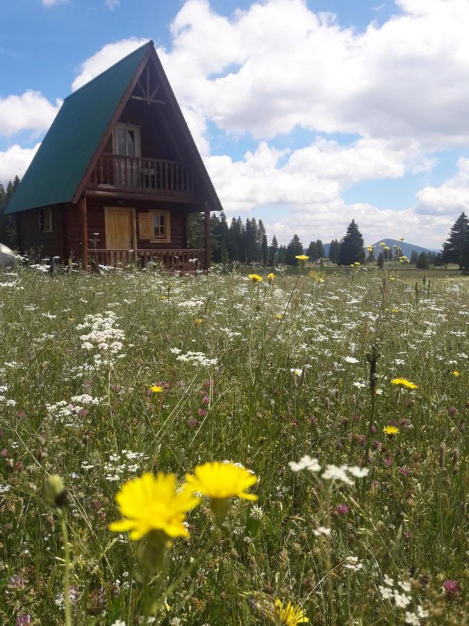 Holiday Home Jabucilo Žabljak Dış mekan fotoğraf