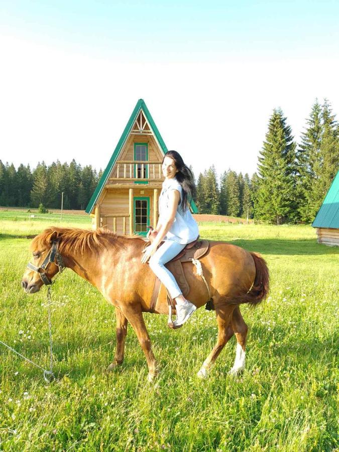 Holiday Home Jabucilo Žabljak Dış mekan fotoğraf